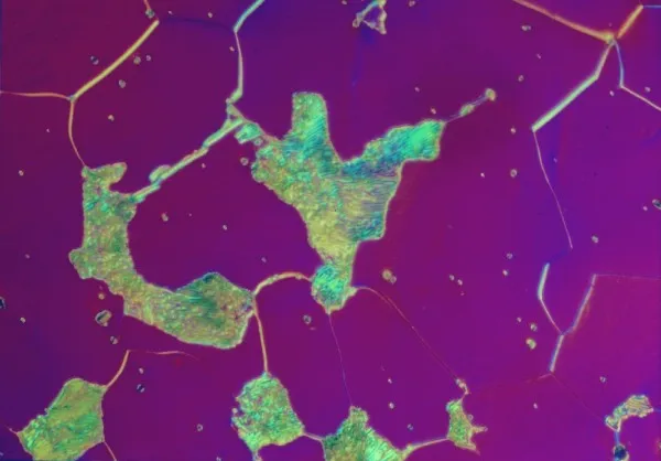 Metallographic sample background